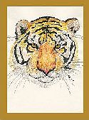 African Animals Collection